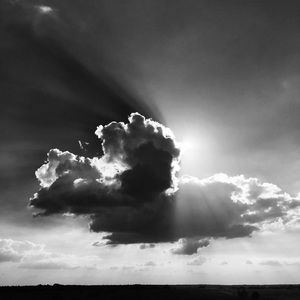 Meet your Posher, Jolinda